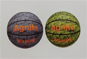 Quả bóng rổ chất liệu PU Agnite F1129